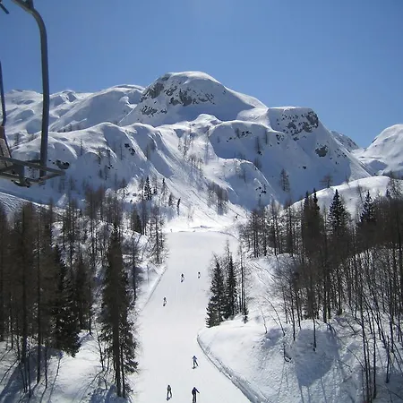 Garden Maria 게스트하우스