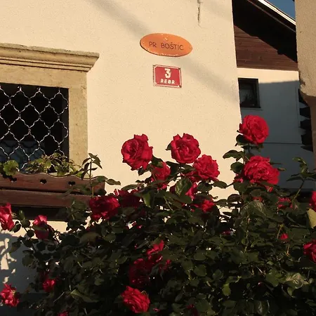 Garden Maria Pensjonat 3*