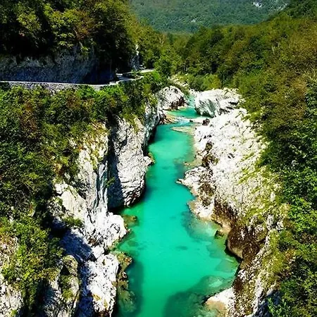 Garden Maria 게스트하우스