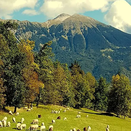 Garden Maria 3* Bled