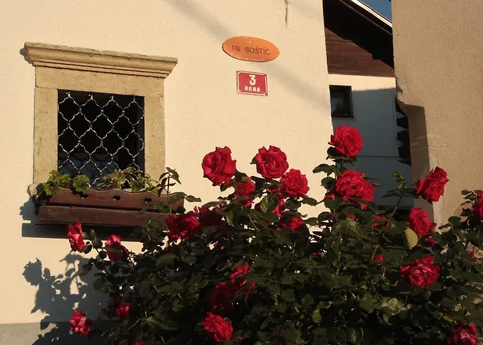 Garden Maria Hiša za goste 3*