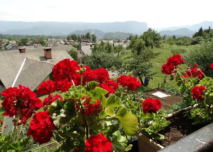 Garden Maria Блед