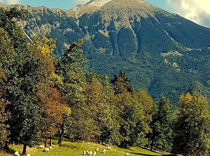 Garden Maria 3* Bled