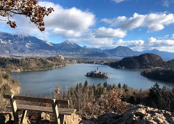 Гостевой дом Garden Maria 3*